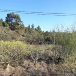 El Paso la Palma Baugrundstück 5