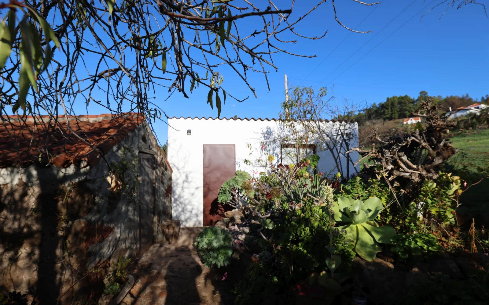 Puntagorda kleines Haus mit Garten 3943